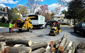 Best Lot and Land Clearing  in Oakland, CA
